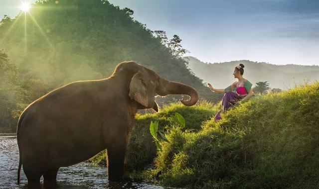 Wildlife travel experiences